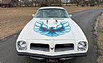 1974 Trans Am Thumbnail 15