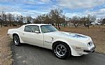 1974 Trans Am Thumbnail 18