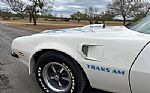 1974 Trans Am Thumbnail 21