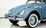 1959 Beetle Thumbnail 6