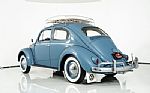 1959 Beetle Thumbnail 8