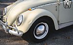 1965 Beetle Thumbnail 11