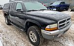 2003 Dodge Dakota