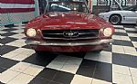 1964 Mustang Thumbnail 13