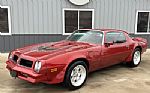 1976 Trans Am Thumbnail 2