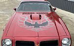 1976 Trans Am Thumbnail 56