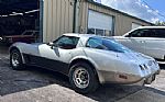 1978 Corvette Silver Anniversary Thumbnail 9