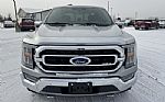 2021 F-150 Thumbnail 12