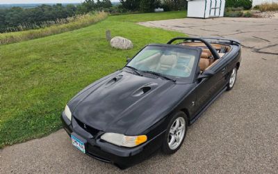 1998 Ford Mustang SVT Cobra Base 2DR Convertible