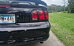 1998 Mustang SVT Cobra Thumbnail 50