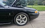 1998 Mustang SVT Cobra Thumbnail 56