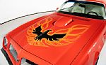 1975 Trans Am Thumbnail 7