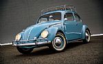 1959 Beetle Thumbnail 3