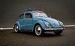 1959 Beetle Thumbnail 4