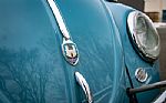 1959 Beetle Thumbnail 9