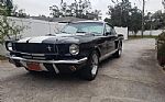 1965 Ford Mustang GT 350 Tribute