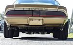 1979 Trans Am WS6 with T-Tops Thumbnail 19