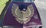 1977 Trans Am Restomod Thumbnail 23