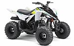 2022 Yamaha Raptor