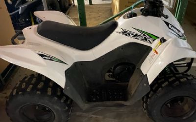 Photo of a 2017 Kawasaki KFX 90 for sale