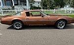 1979 Firebird Thumbnail 9