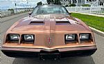 1979 Firebird Thumbnail 11