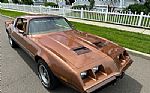 1979 Firebird Thumbnail 67