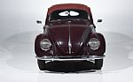 1950 Beetle Thumbnail 2