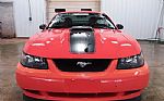 2004 MUSTANG Thumbnail 7