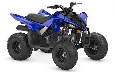 Photo of a 2024 Yamaha Raptor 110 for sale