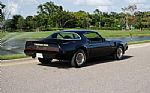 1979 Trans AM Low Miles, Auto, Cold AC Thumbnail 5