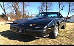 1989 Pontiac Firebird