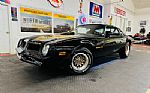 1976 Firebird Thumbnail 2