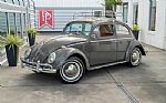 1964 Beetle Thumbnail 2