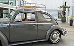 1964 Beetle Thumbnail 6