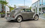 1964 Beetle Thumbnail 9