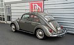 1964 Beetle Thumbnail 36