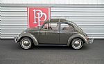 1964 Beetle Thumbnail 35