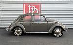 1964 Beetle Thumbnail 39