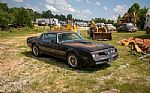 1977 Trans Am Thumbnail 4